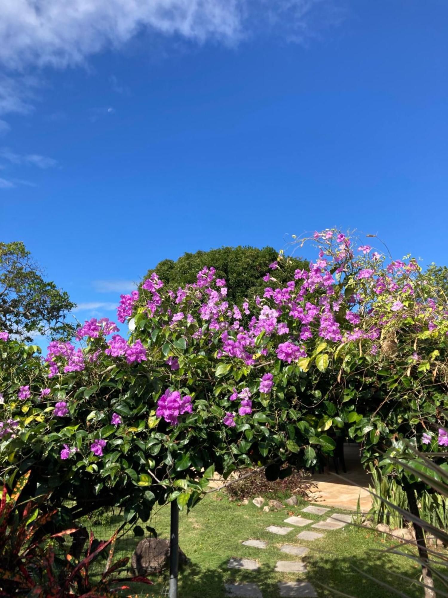 Bed and Breakfast La Maracuya Panama Playa Coronado Exterior foto