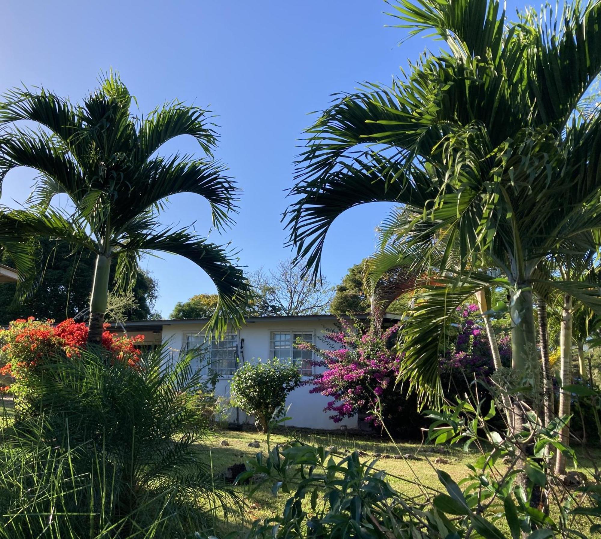Bed and Breakfast La Maracuya Panama Playa Coronado Exterior foto