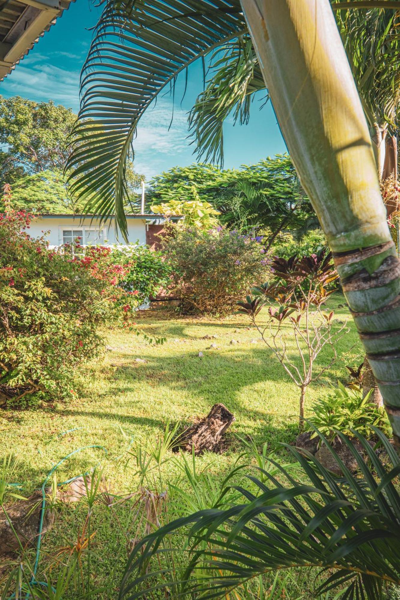 Bed and Breakfast La Maracuya Panama Playa Coronado Exterior foto